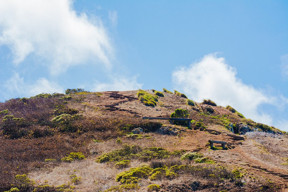 san francisco landscape img